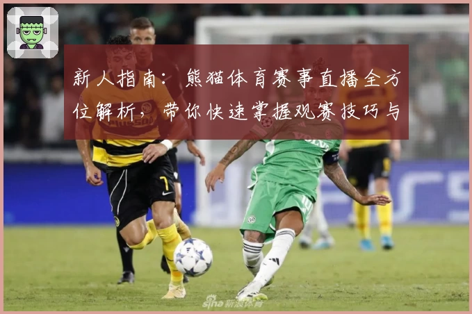 新人指南：熊猫体育赛事直播全方位解析，带你快速掌握观赛技巧与精彩玩法