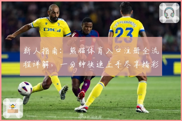新人指南：熊猫体育入口注册全流程详解，一分钟快速上手尽享精彩体验