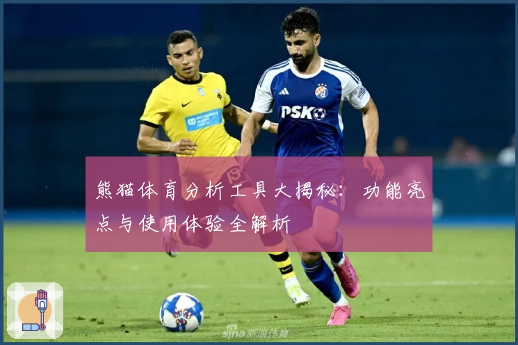 熊猫体育分析工具大揭秘：功能亮点与使用体验全解析