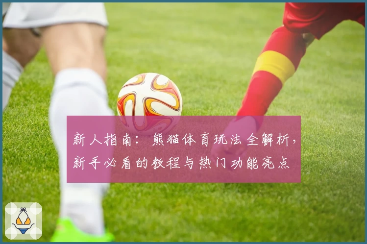 新人指南：熊猫体育玩法全解析，新手必看的教程与热门功能亮点