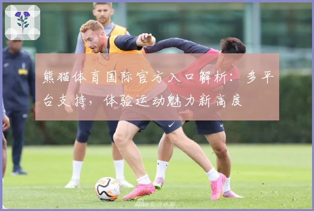 熊猫体育国际官方入口解析：多平台支持，体验运动魅力新高度