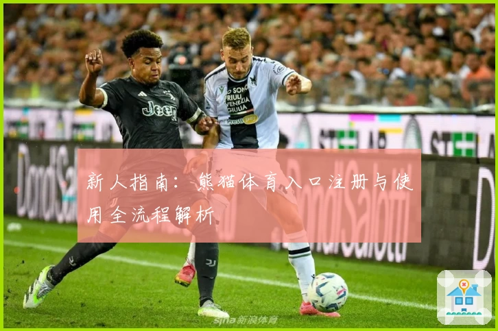 新人指南：熊猫体育入口注册与使用全流程解析