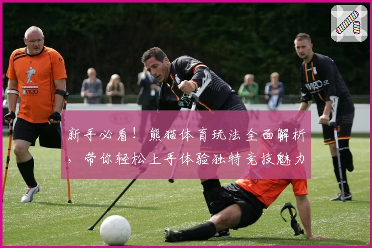 新手必看！熊猫体育玩法全面解析，带你轻松上手体验独特竞技魅力
