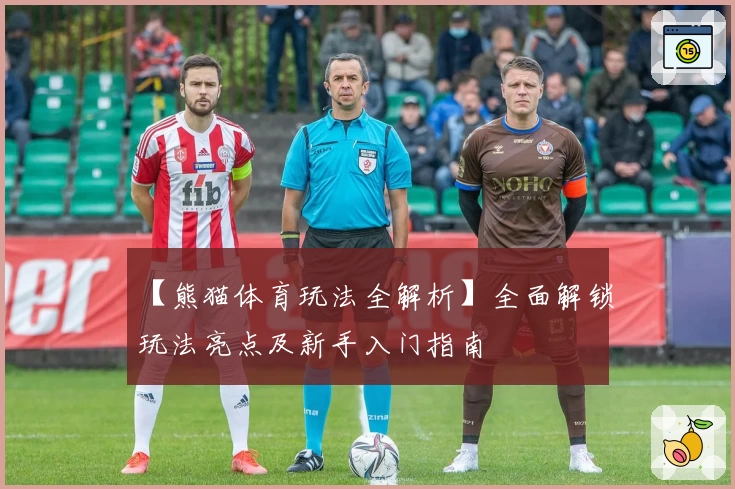 【熊猫体育玩法全解析】全面解锁玩法亮点及新手入门指南