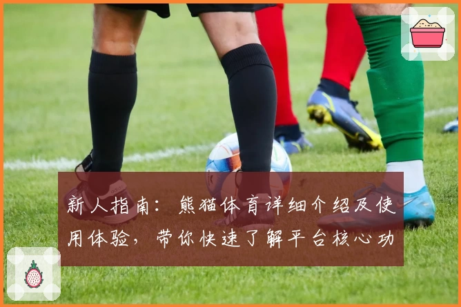 新人指南：熊猫体育详细介绍及使用体验，带你快速了解平台核心功能亮点