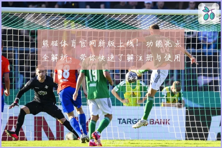 熊猫体育官网新版上线！功能亮点全解析，带你快速了解注册与使用教程