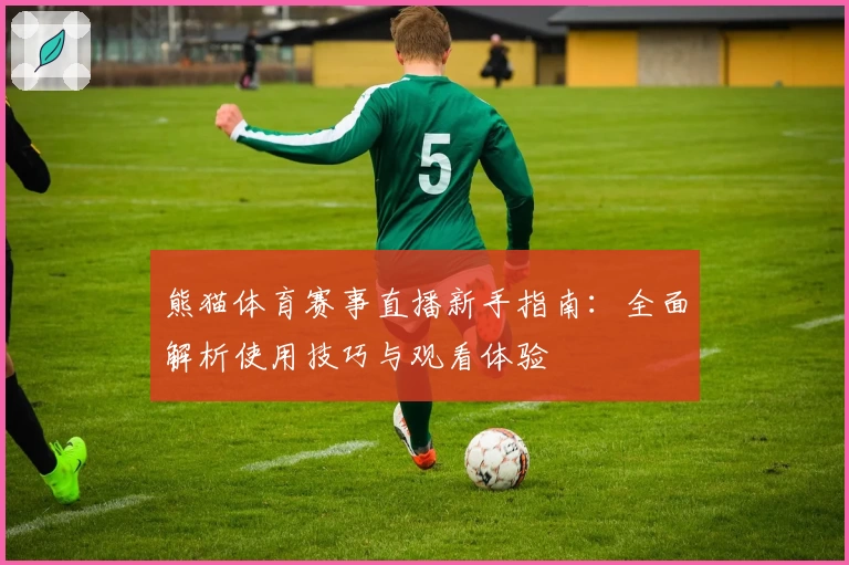 熊猫体育赛事直播新手指南：全面解析使用技巧与观看体验