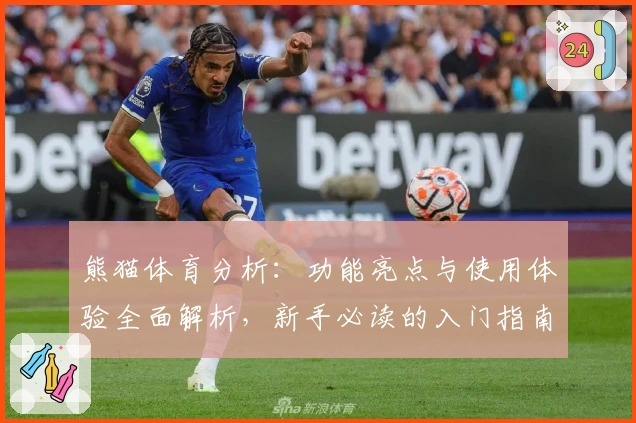 熊猫体育分析：功能亮点与使用体验全面解析，新手必读的入门指南