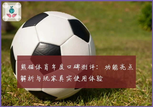 熊猫体育年度口碑测评：功能亮点解析与玩家真实使用体验