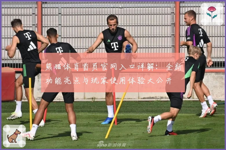 熊猫体育首页官网入口详解：全新功能亮点与玩家使用体验大公开