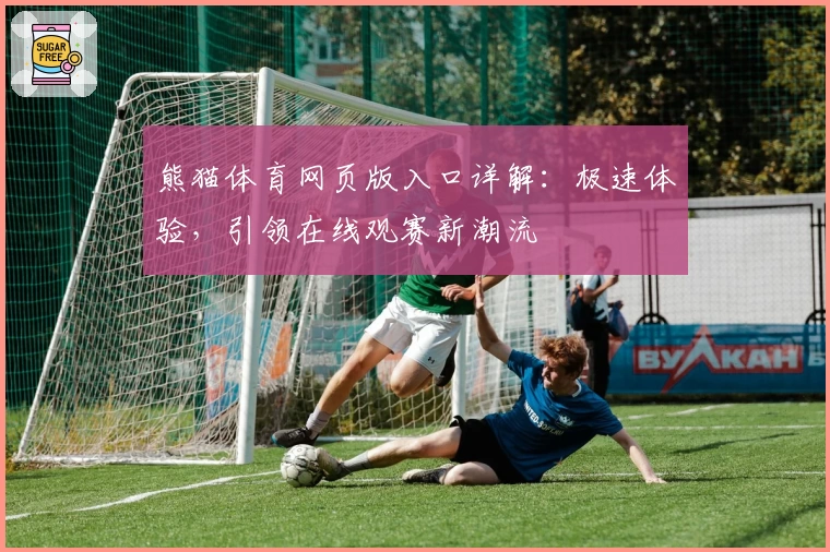 熊猫体育网页版入口详解:极速体验,引领在线观赛新潮流