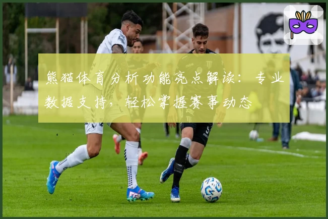 熊猫体育分析功能亮点解读：专业数据支持，轻松掌握赛事动态